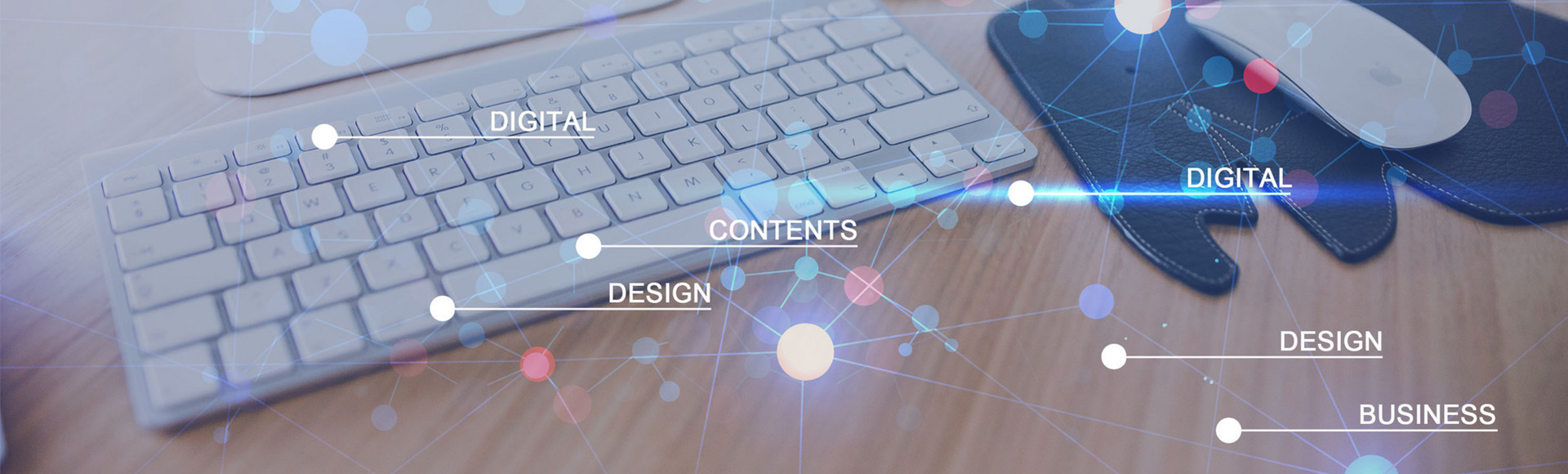 联系乐鱼（中国）官方